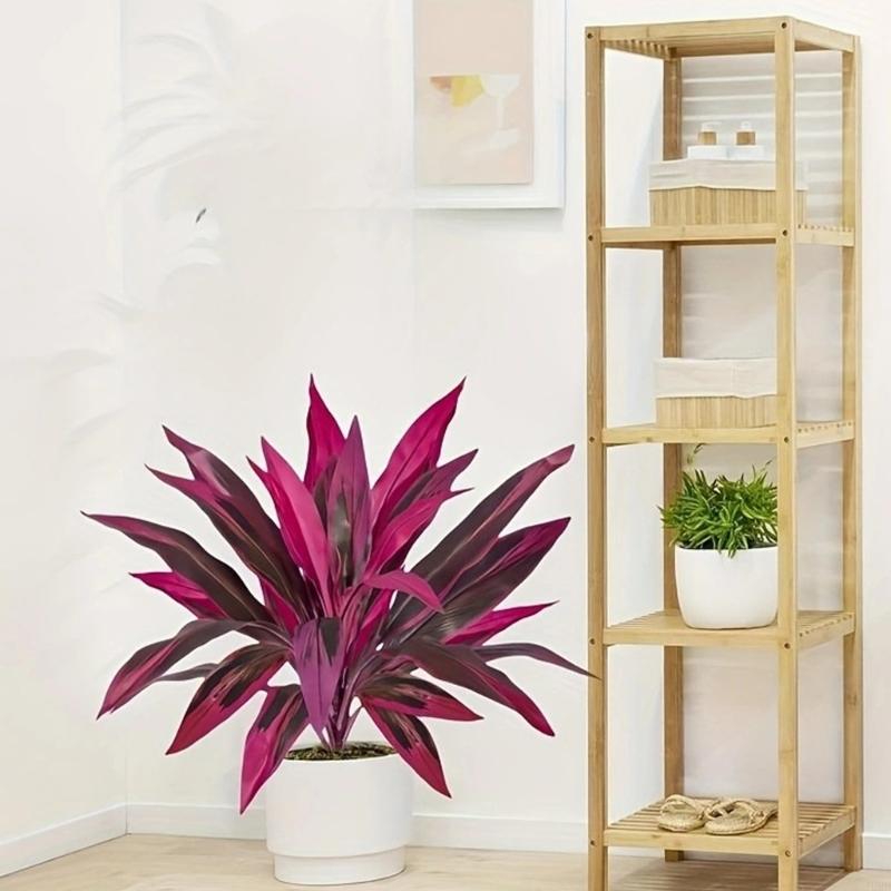 60cm Tall Artificial Dracaena  - Dracaena Marginata 评论和价格