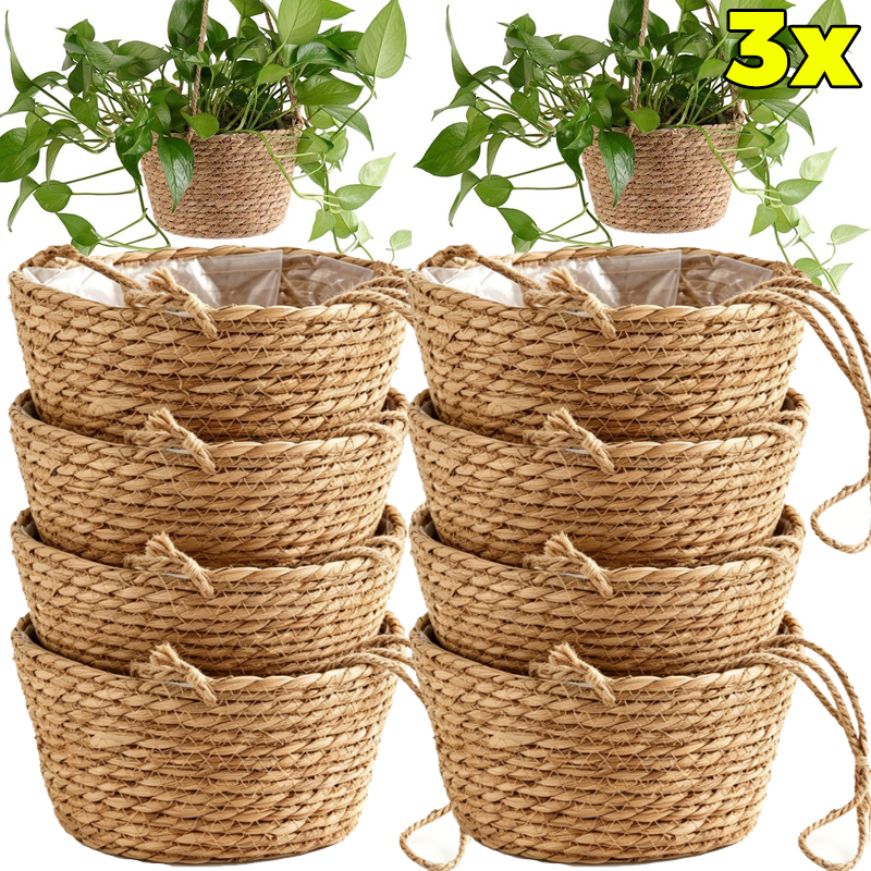 1/3x Rope Hanging Planter Bask - Spider Plant Hanging 评论和价格