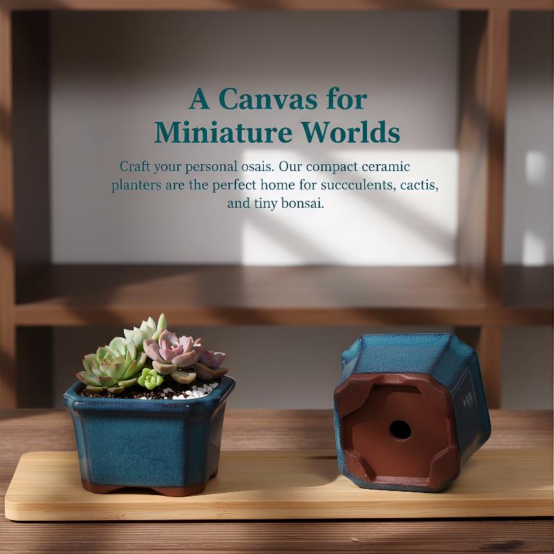 3PCS Mini Plant Pots for Succu - Echeveria Succulent 评论和价格
