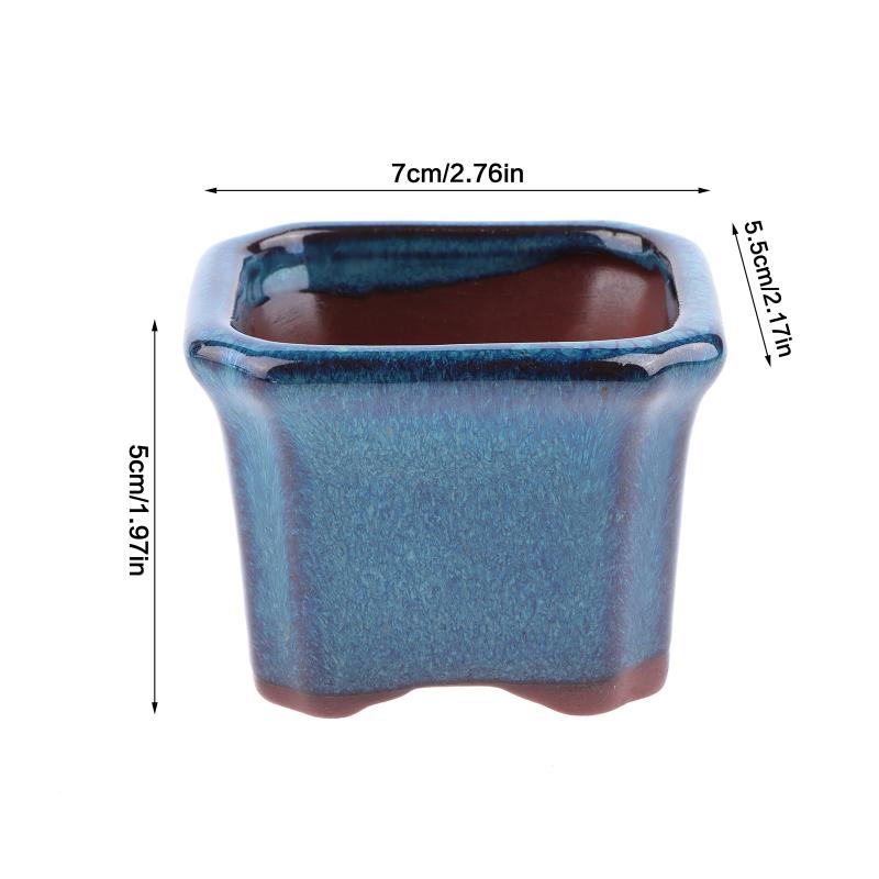 3PCS Mini Plant Pots for Succu - Echeveria Succulent 评论和价格