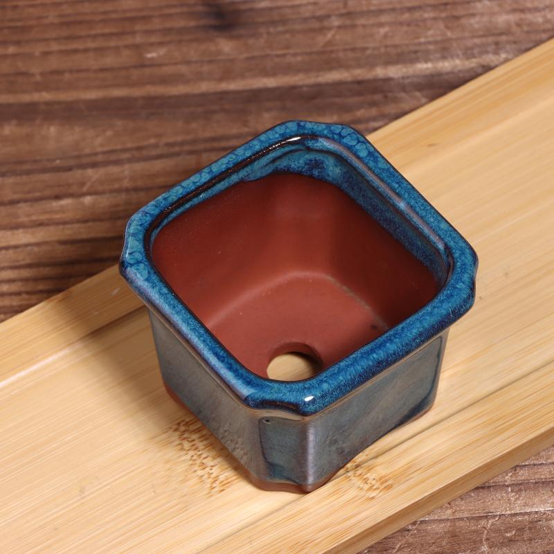 3PCS Mini Plant Pots for Succu - Echeveria Succulent 评论和价格