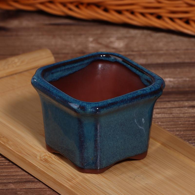 3PCS Mini Plant Pots for Succu - Echeveria Succulent 评论和价格