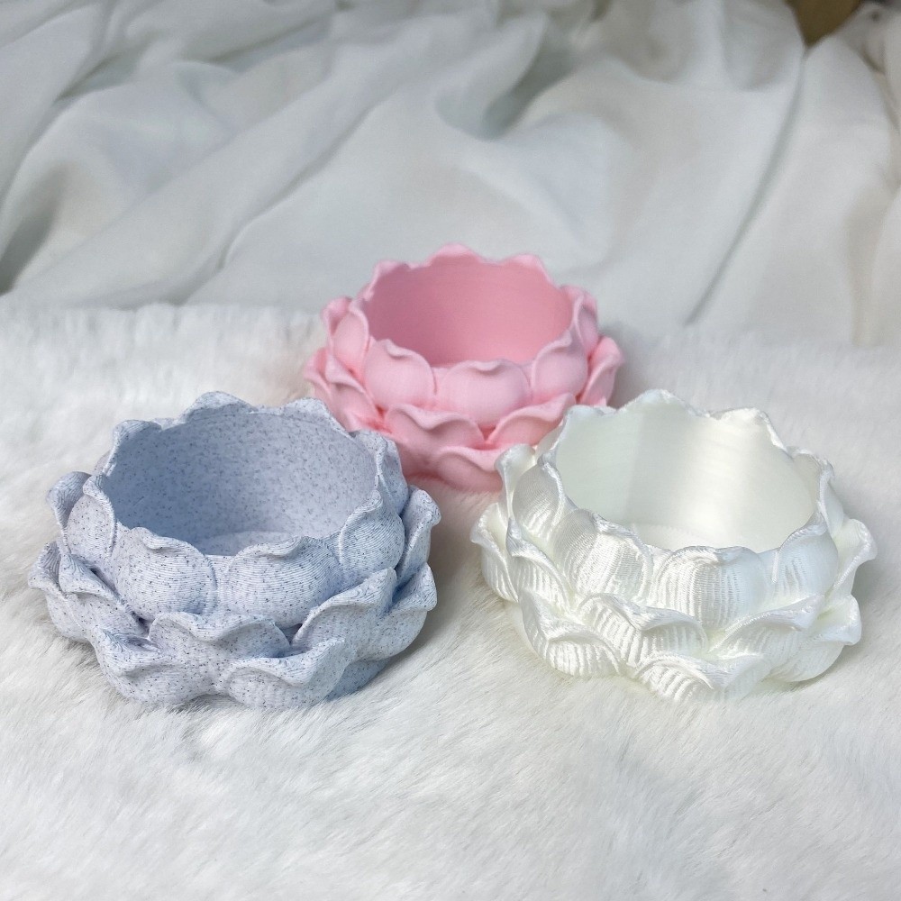 Lotus Shaped Succulent Plant P - Echeveria Succulent 评论和价格