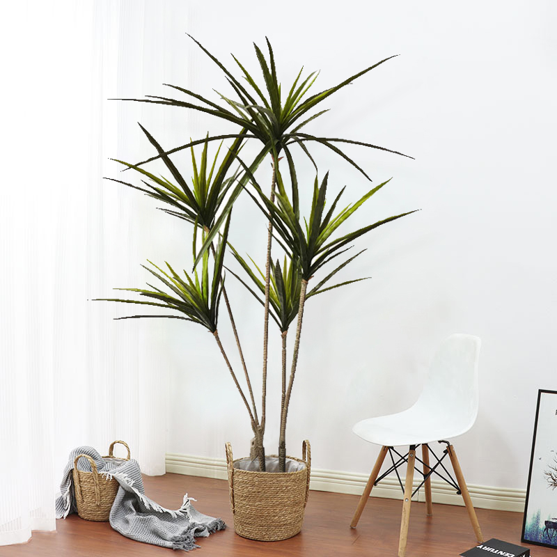 New 90-120cm Artificial Dracae - Dracaena Marginata 评论和价格