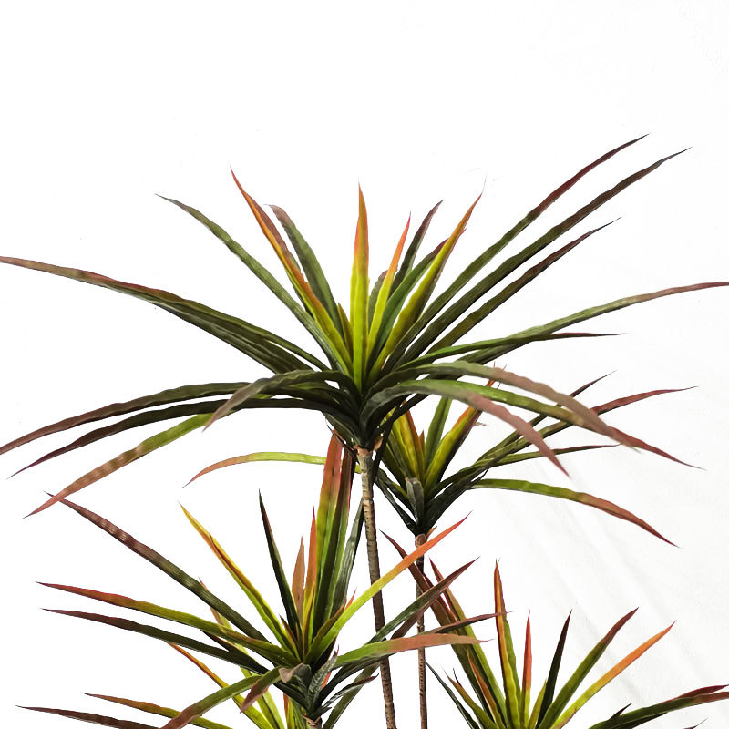 New 90-120cm Artificial Dracae - Dracaena Marginata 评论和价格