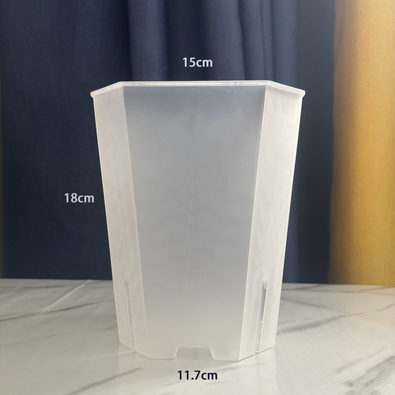 5PCS Transparent Flowerpot 15c - Echeveria Succulent 评论和价格