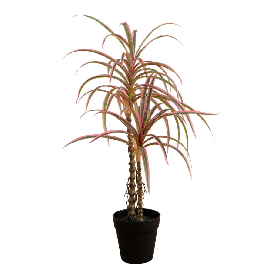Dracaena Marginata Artificial  - Dracaena Marginata 评论和价格