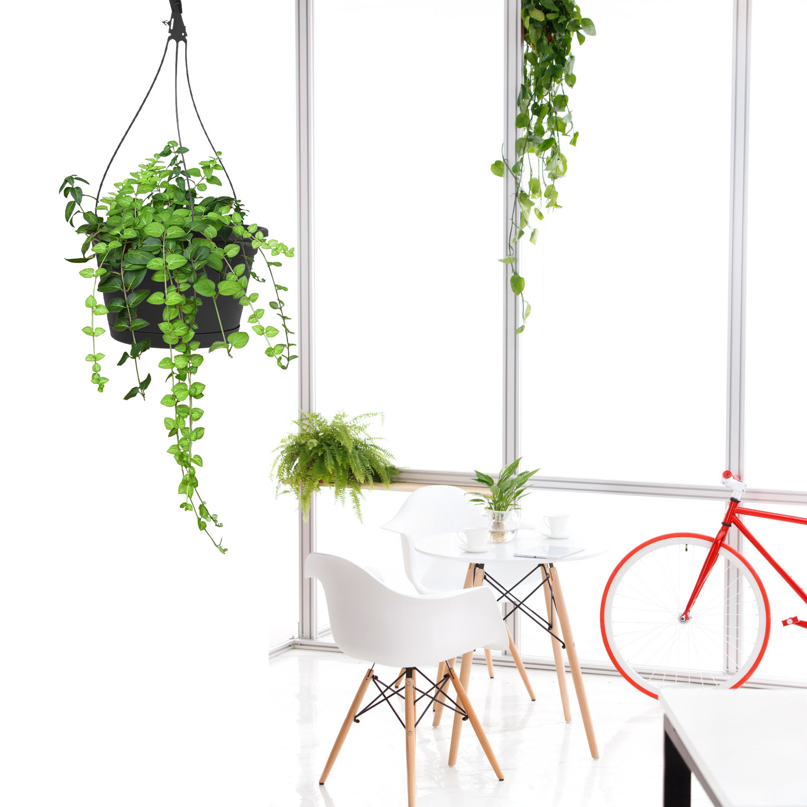 1Pcs Modern Hanging Flowerpot  - Spider Plant Hanging 评论和价格