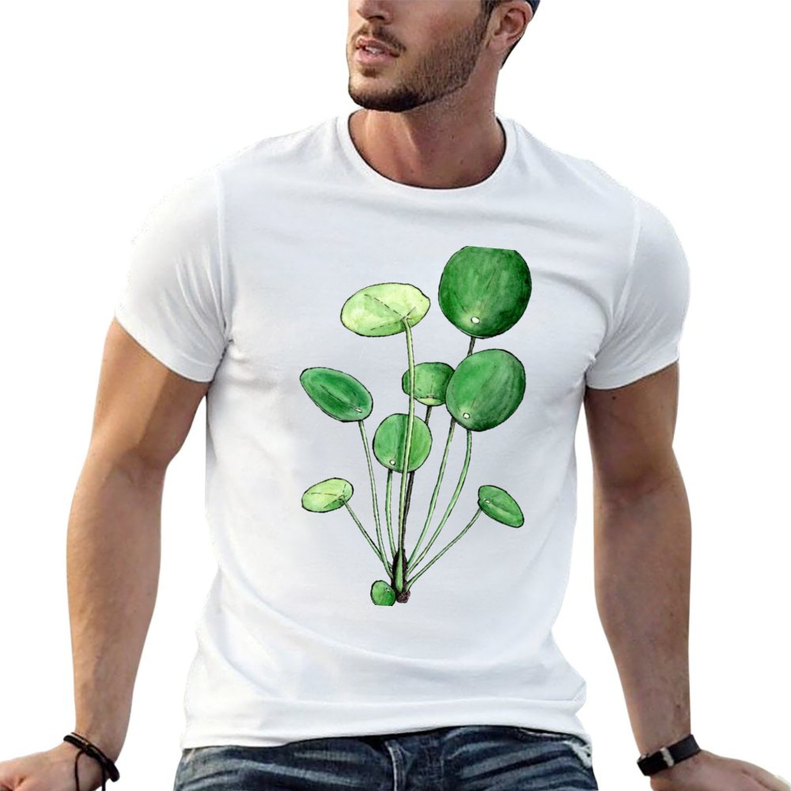 Pilea Peperomioides - Watercol - Pilea Peperomioides 评论和价格