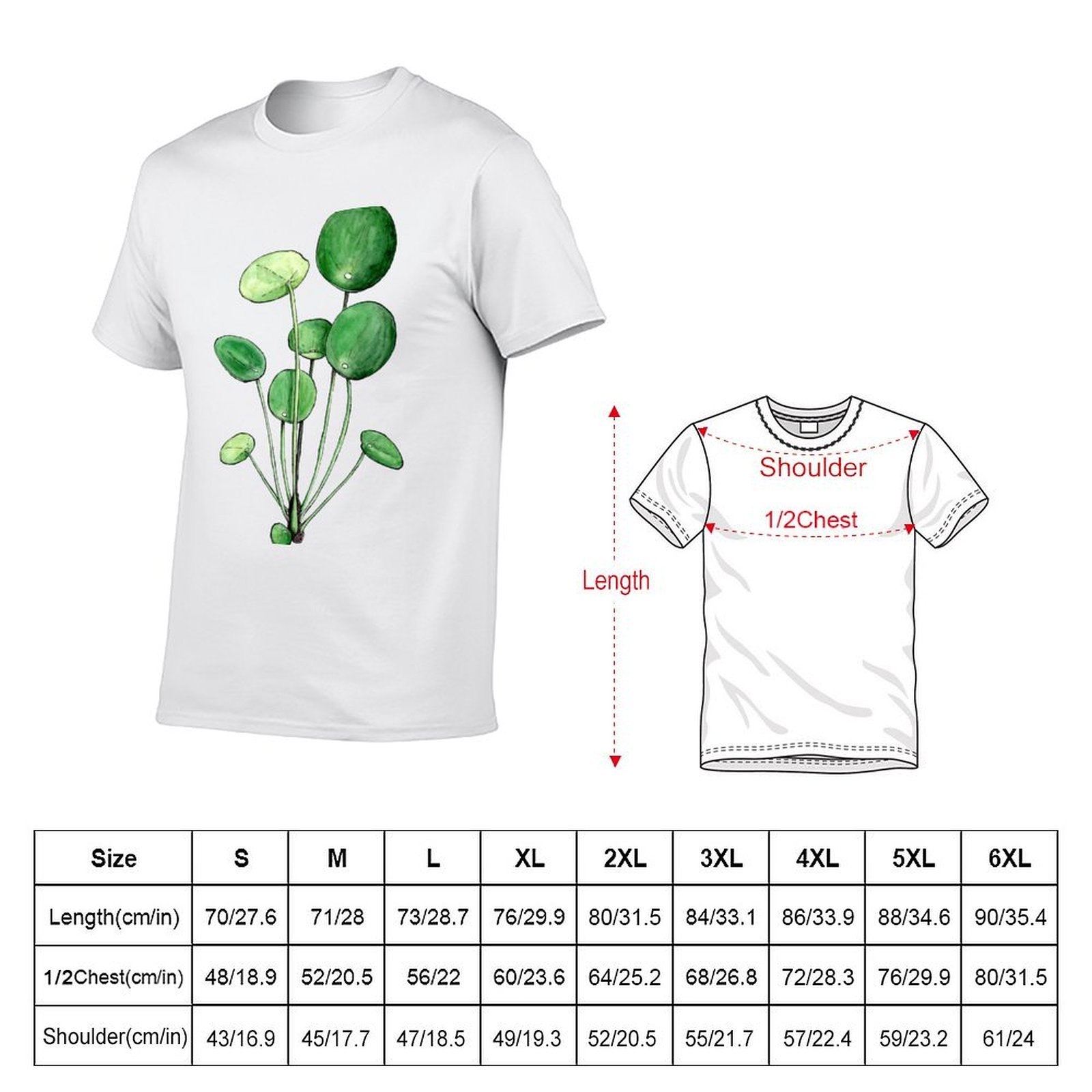 Pilea Peperomioides - Watercol - Pilea Peperomioides 评论和价格