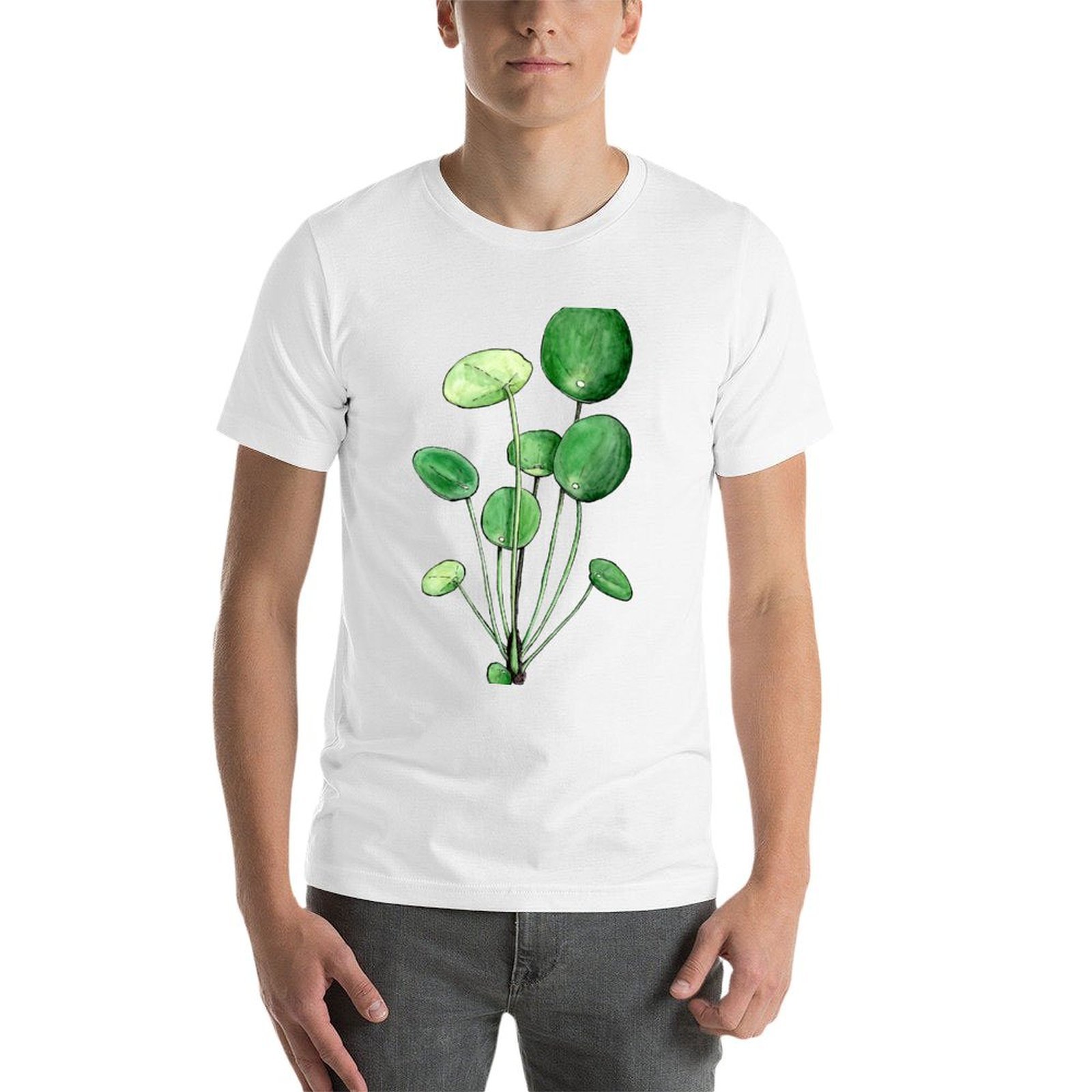 Pilea Peperomioides - Watercol - Pilea Peperomioides 评论和价格