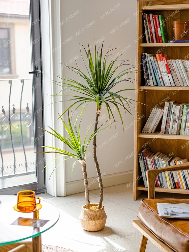 Light Luxury Simulation Green  - Dracaena Marginata 评论和价格