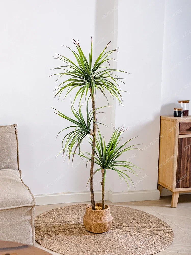 Light Luxury Simulation Green  - Dracaena Marginata 评论和价格