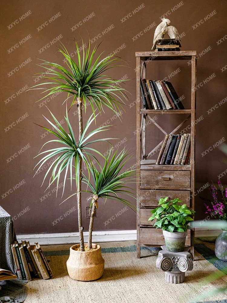 Light Luxury Simulation Green  - Dracaena Marginata 评论和价格