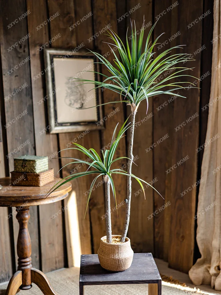 Light Luxury Simulation Green  - Dracaena Marginata 评论和价格