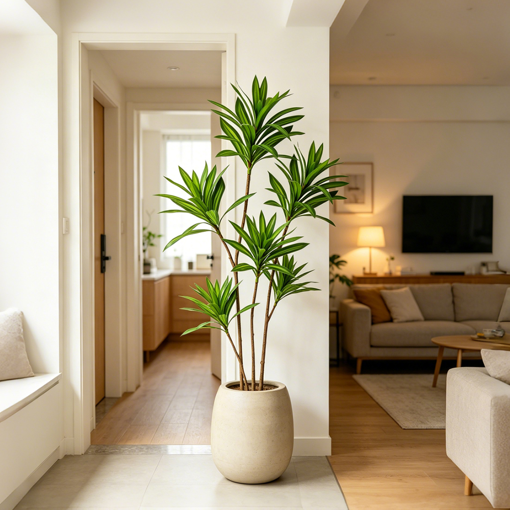 66-98cm Large Artificial Palm  - Dracaena Marginata 评论和价格