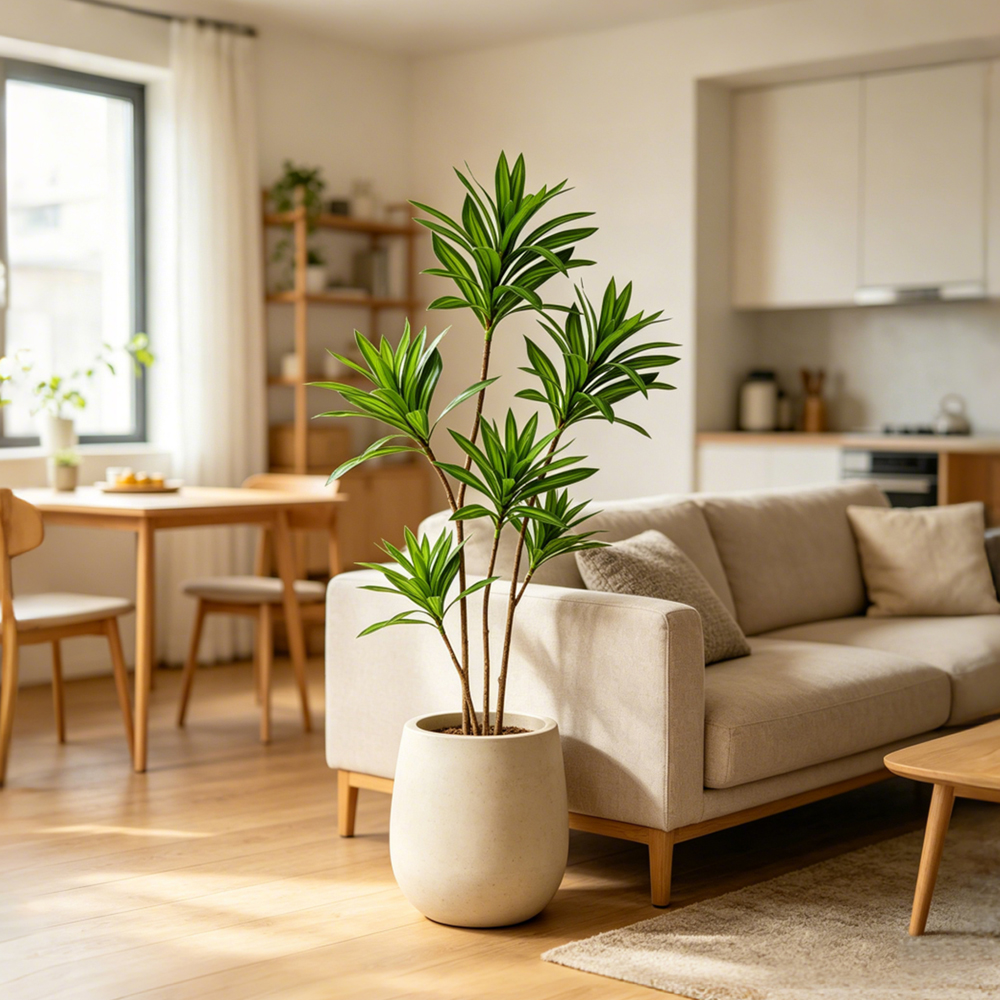 66-98cm Large Artificial Palm  - Dracaena Marginata 评论和价格