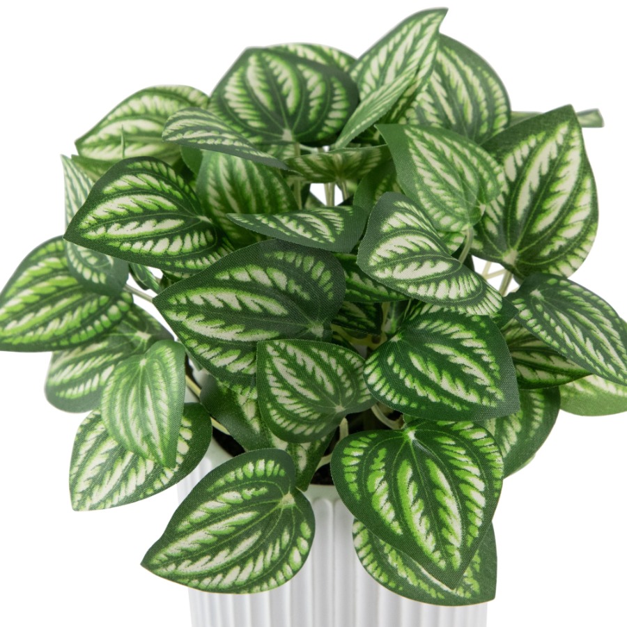 Artificial Watermelon Peperomi - Peperomia Watermelon 评论和价格