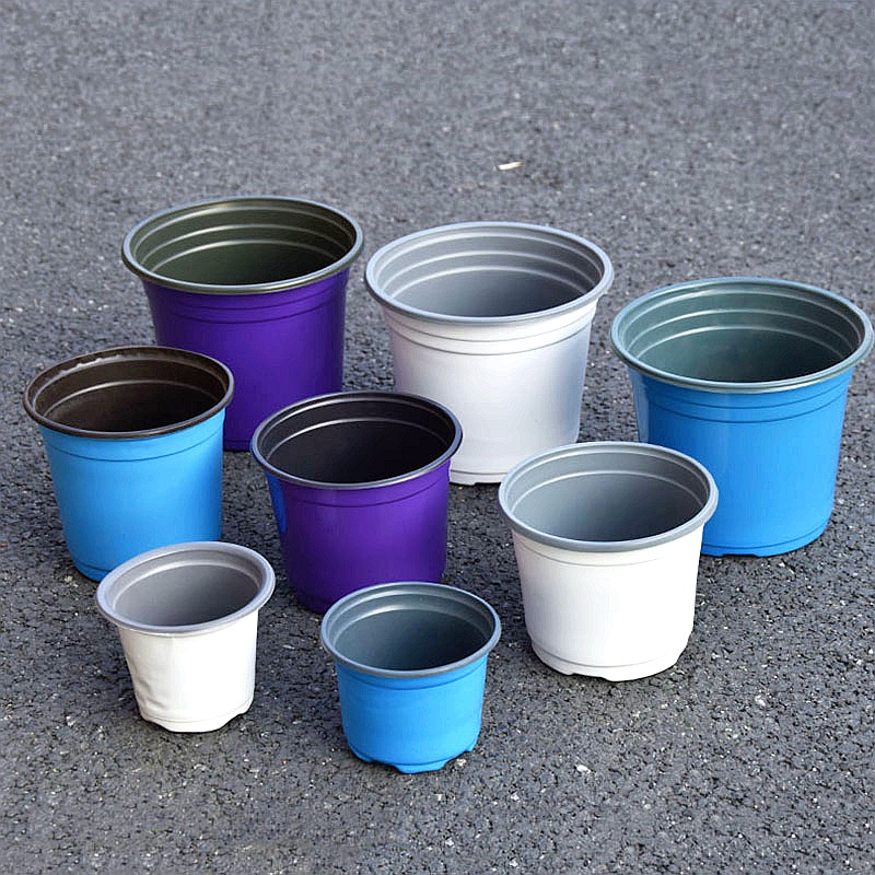 100Pcs Color Plastic Flowerpot - Echeveria Succulent 评论和价格