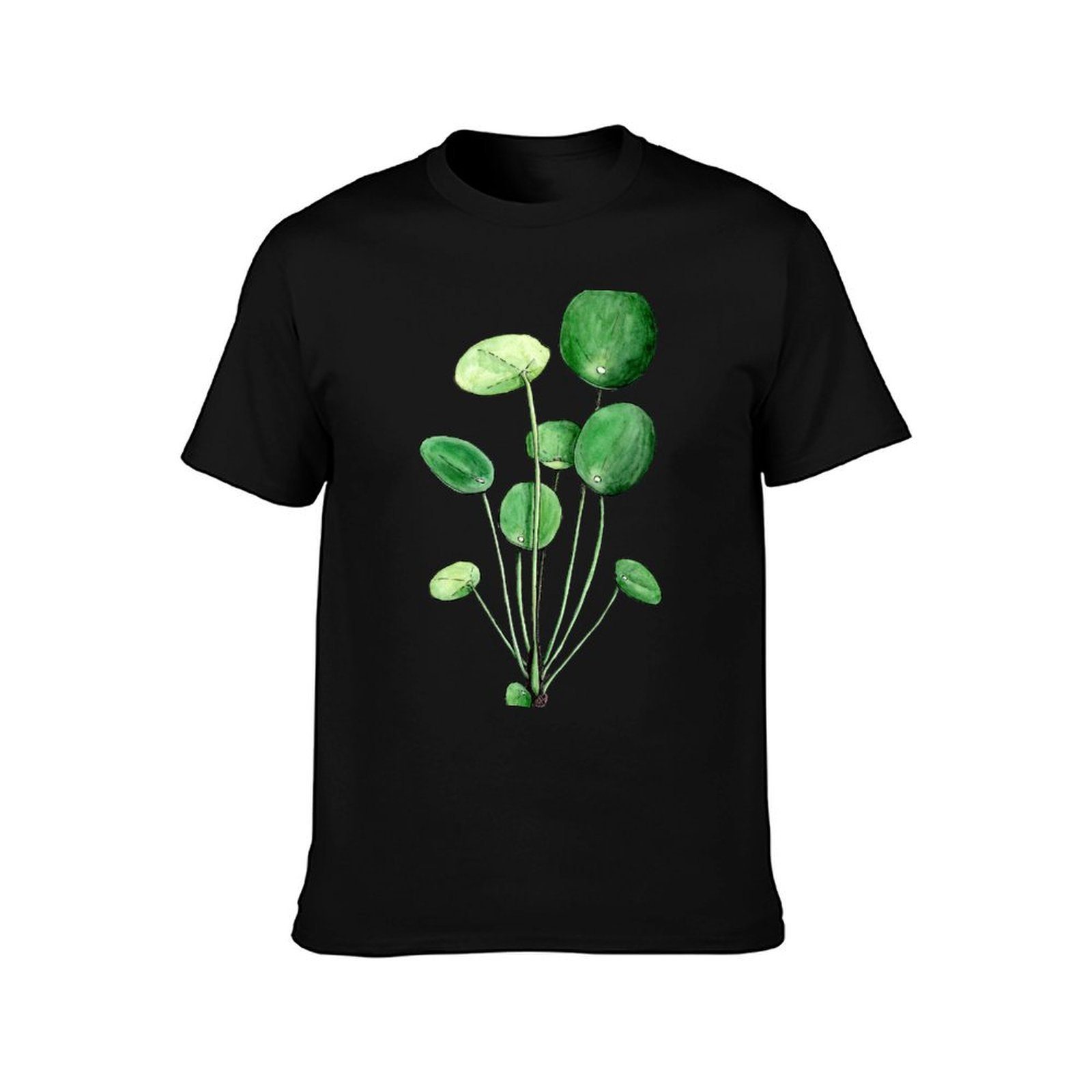 Pilea Peperomioides - Watercol - Pilea Peperomioides 评论和价格