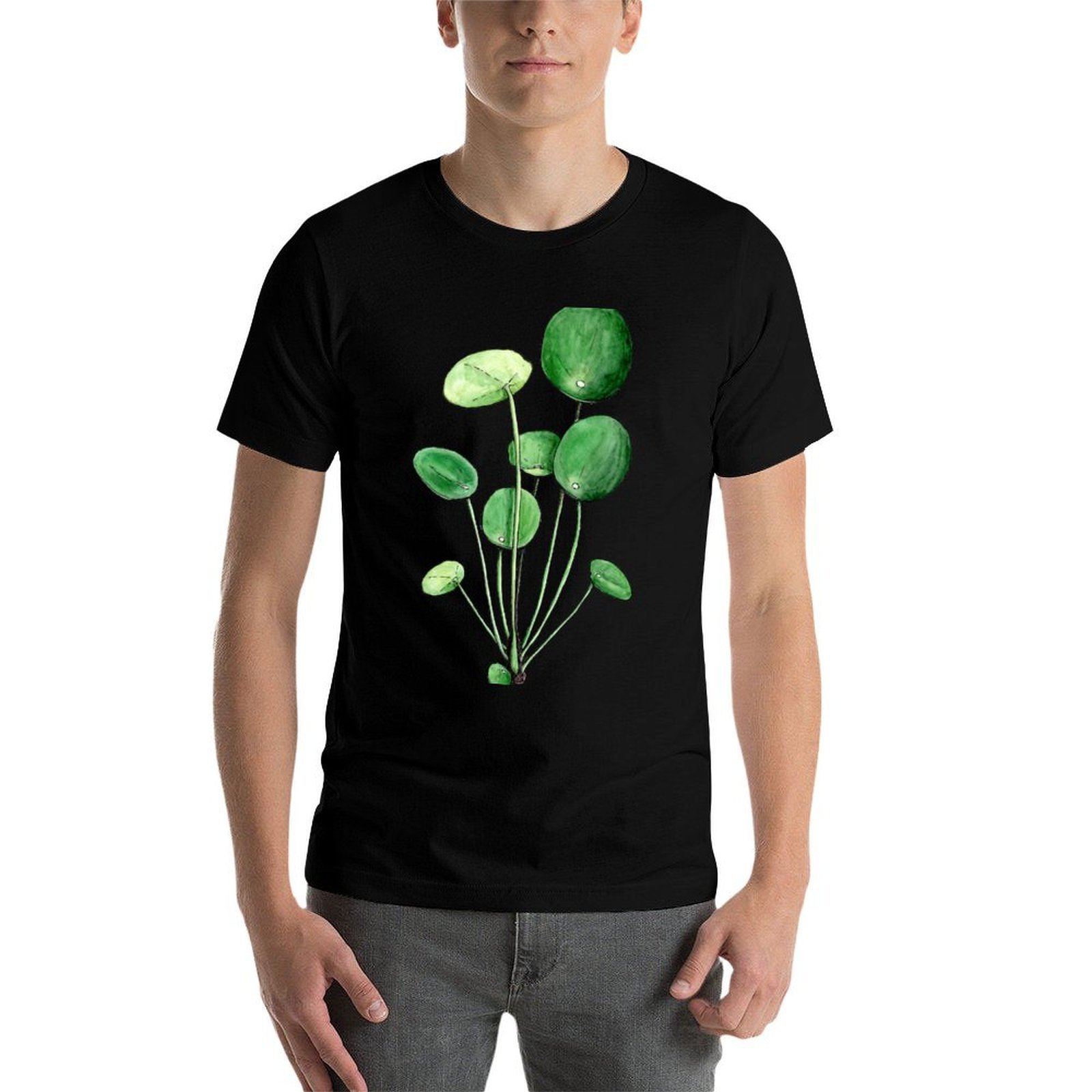 Pilea Peperomioides - Watercol - Pilea Peperomioides 评论和价格